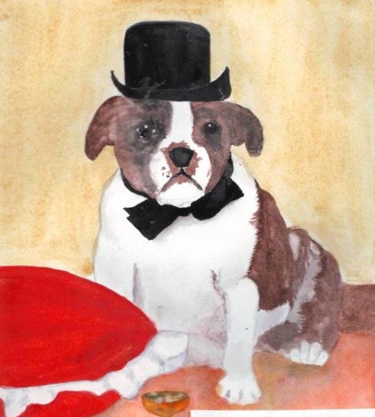 Булька картинки