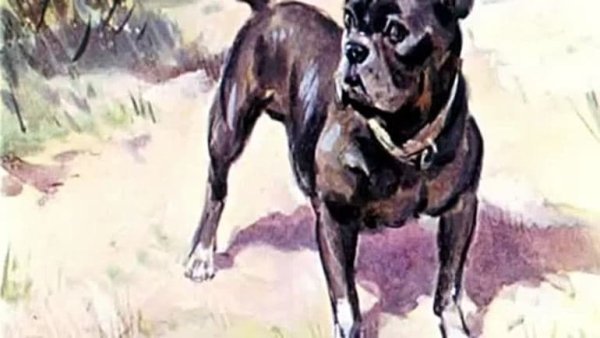 Толстой л. "Булька"