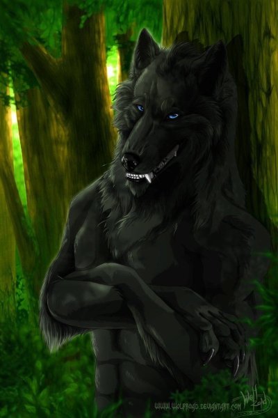 Вервольф волк оборотень