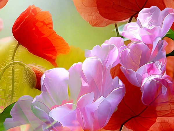 Фотообои яркие цветы