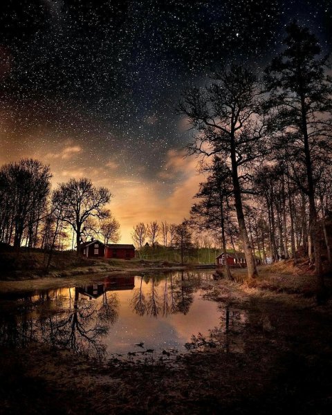 Ночная природа