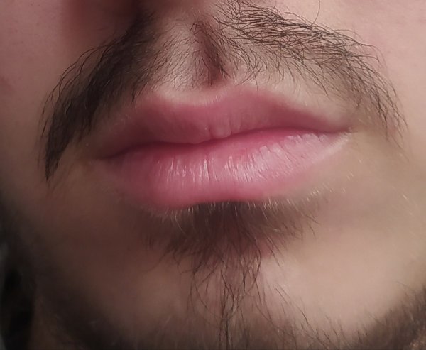 Stubble борода