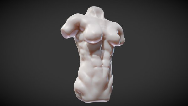 Женский торс 3d модель