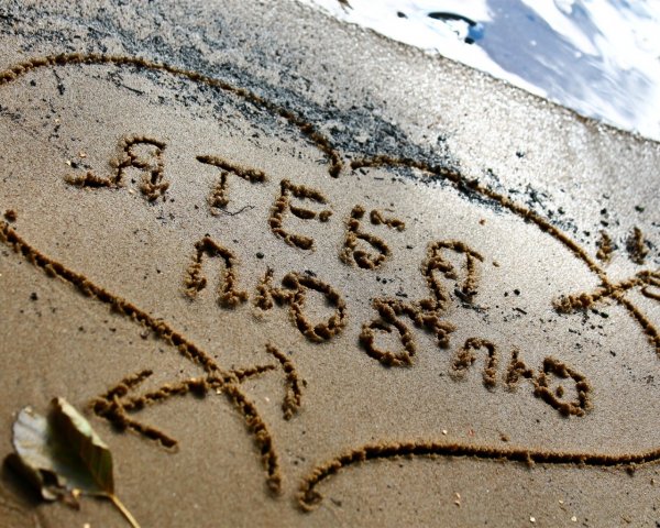 Я тебя люблю