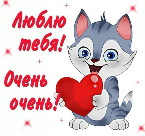Я тебя очень люблю