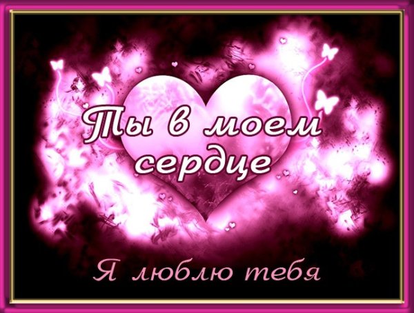 Я тебя люблю девушке