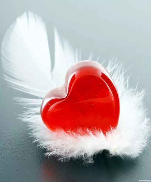 Я люблю себя