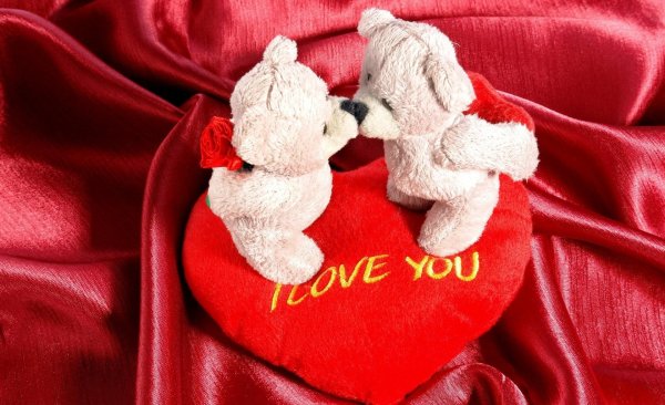 Красные розы