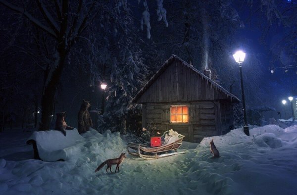 Домик в лесу зимой ночью