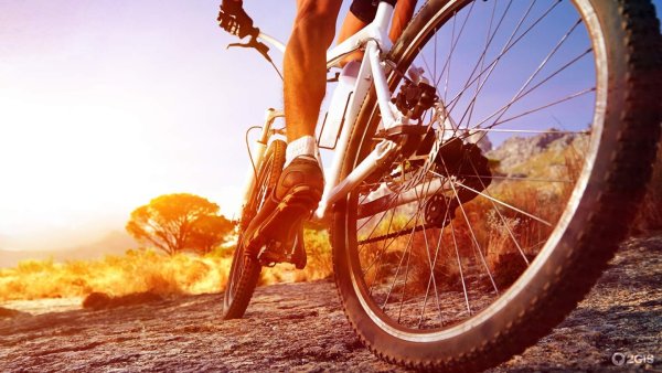 Extreme Sports Bicycle