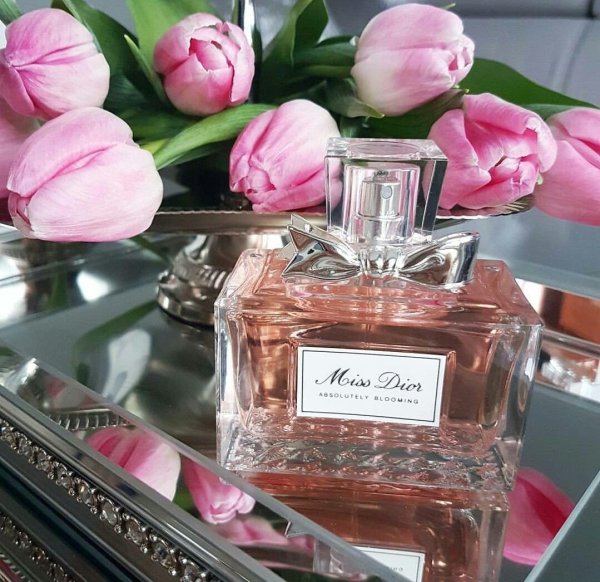 Роза Мисс диор