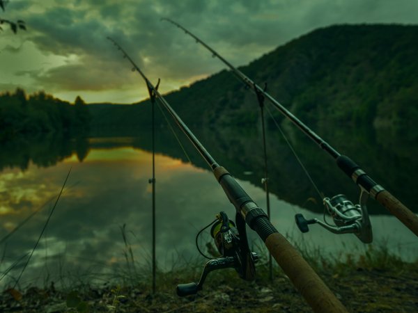 Рыбак с удочкой