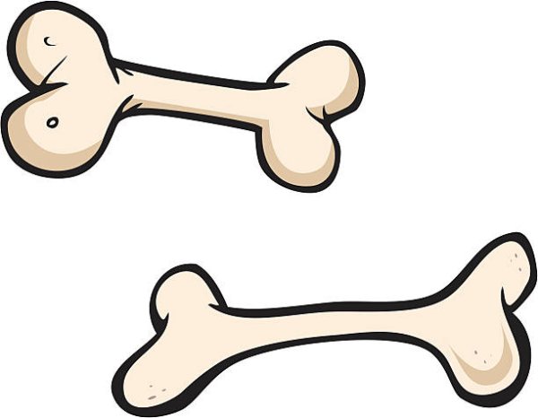 Косточка на белом фоне