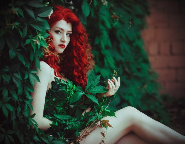 Пойзон Айви DC косплей