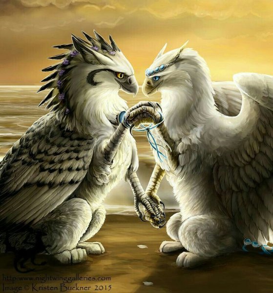 Грифон Гарпия