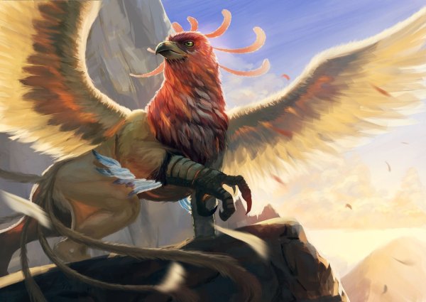 5426129 Грифон Сима