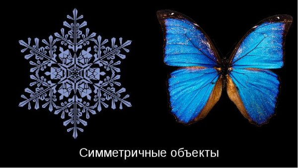 Махаон бабочка тёмно зелёный
