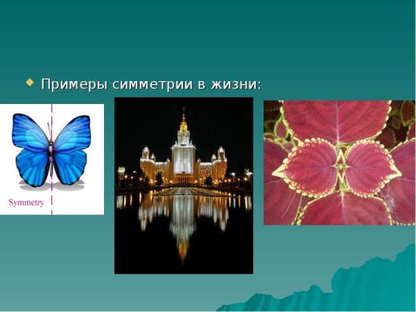 Симметричная природа