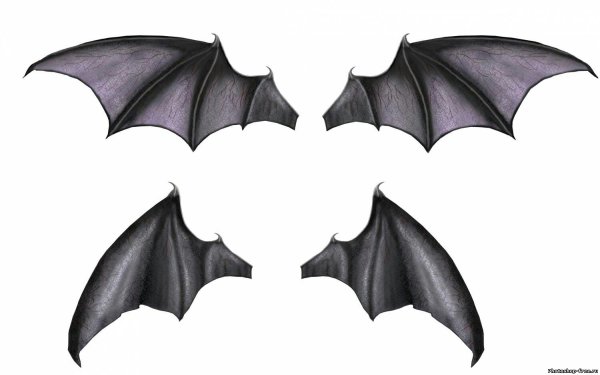 Крылья летучей мыши