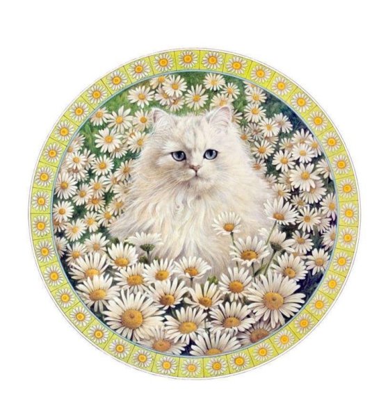 Круглые картинки