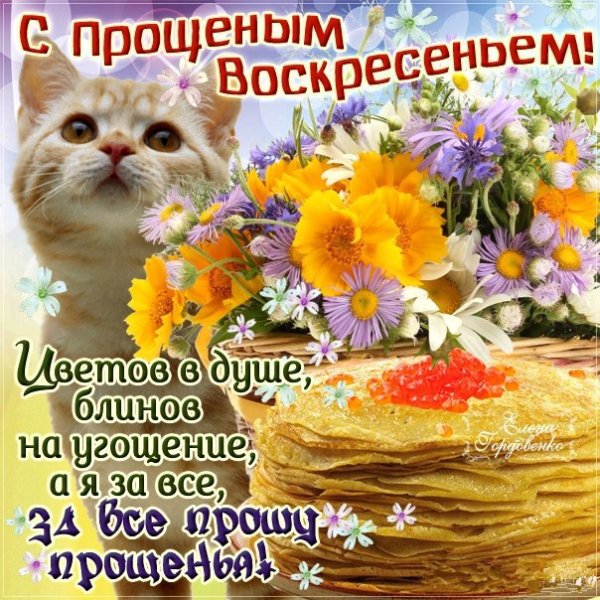 Поздравления с прощенным воскресеньем и Масленицей