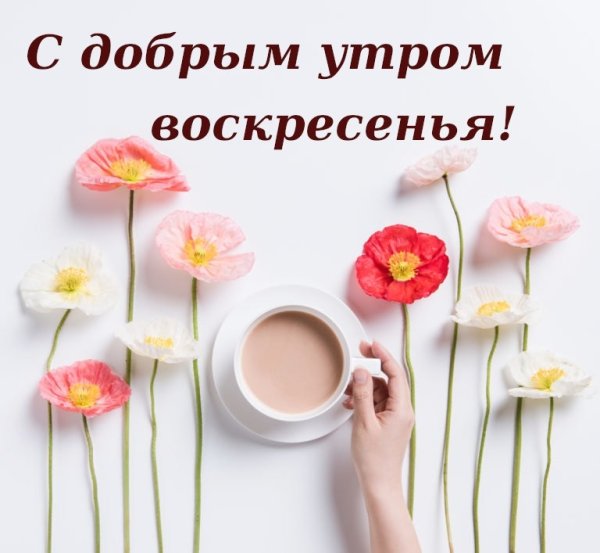 С добрым воскресным утром