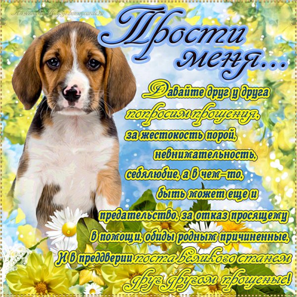 С прощенным воскресеньем
