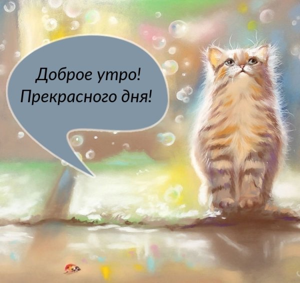 Анекдоты про воскресенье смешные