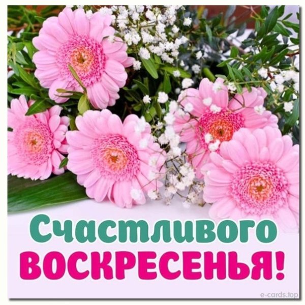 Открытка счастливого воскресенья