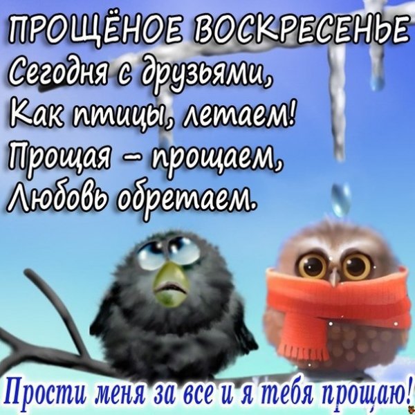 Прощенное воскресенье прикольные