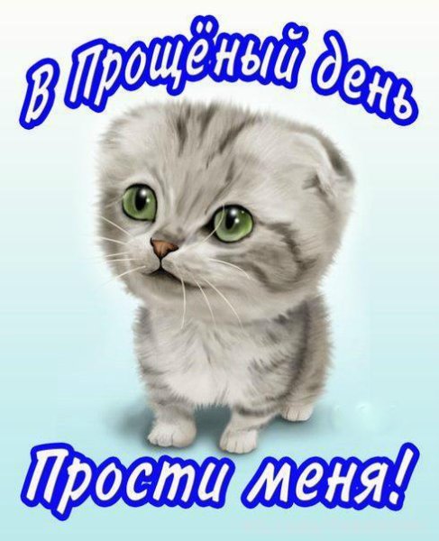 Открытка "прости"