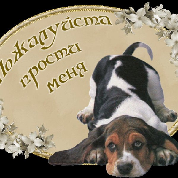 С прощенным воскресеньем