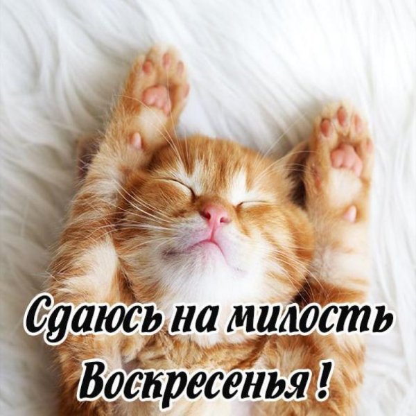 Открытки прекрасного воскресенья