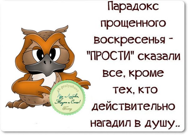Прощенное воскресенье прикольные