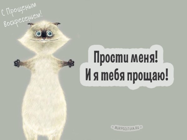 Прощенное воскресенье прикольные