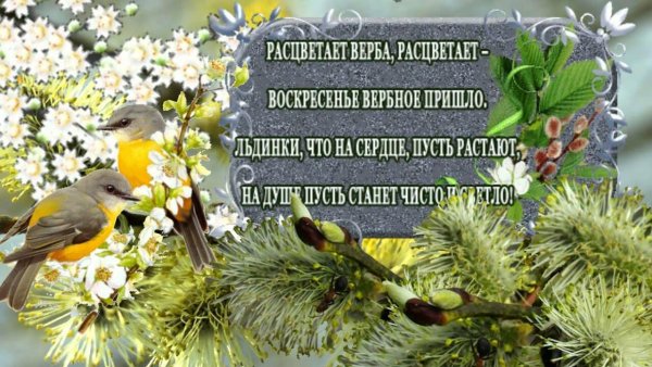 С добрым утром и наступающим Вербным воскресеньем