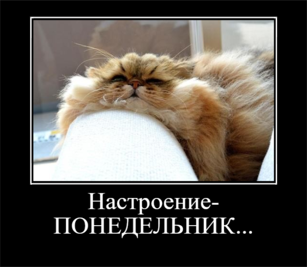 Весёлые демотиваторы для поднятия настроения
