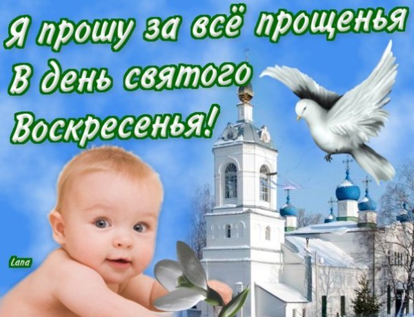 Открытки с прощённым воскресеньем