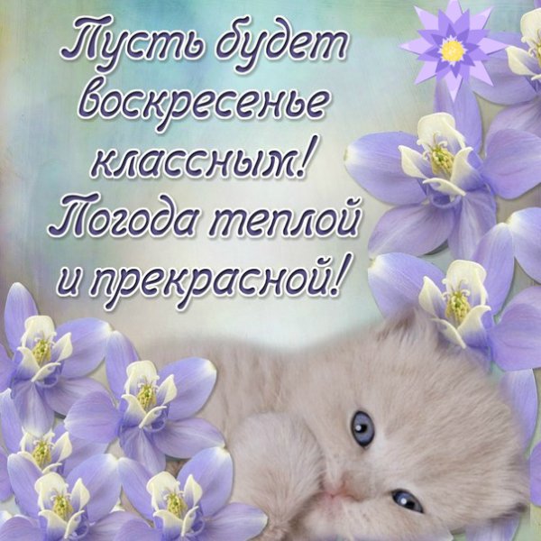 Поздравление с воскресеньем