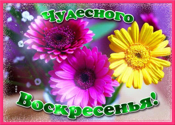 Хорошего воскресенья и отличного настроения