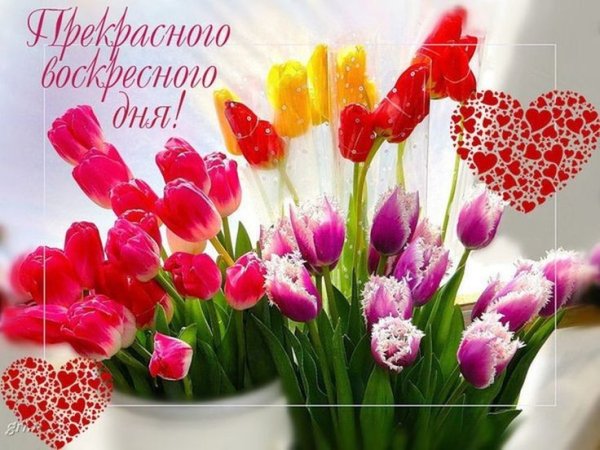 Доброго воскресного дня