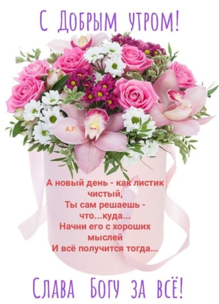 Прекрасного воскресного дня и замечательного настроения