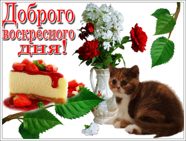 Открытки хорошего воскресенья