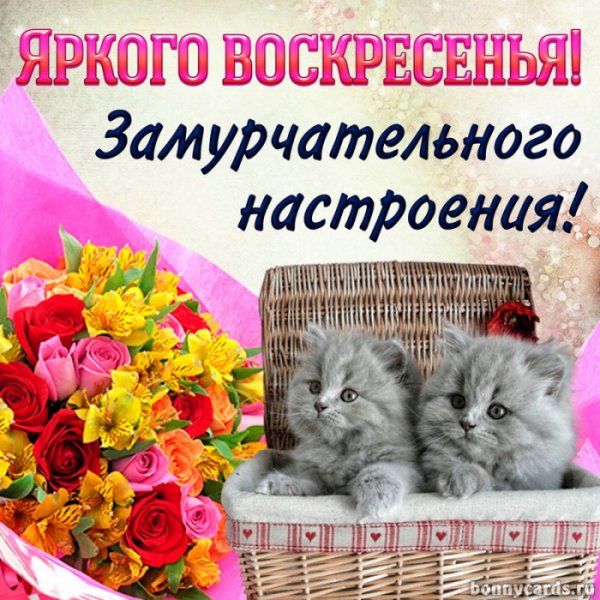 Поздравления с воскресным днем