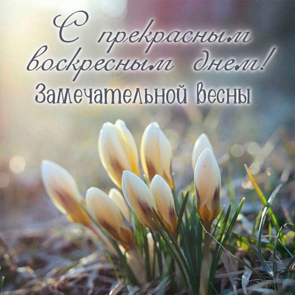 С воскресным весенним днем
