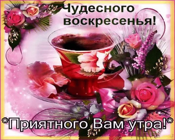 С добрым воскресным утром