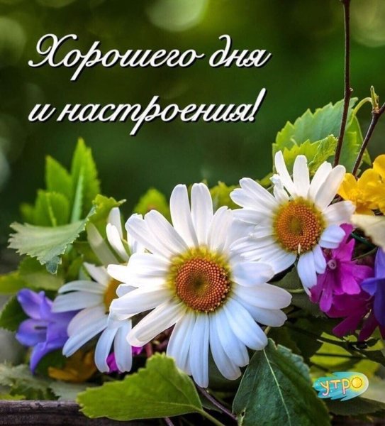 Открытки с добрым утром воскресенья