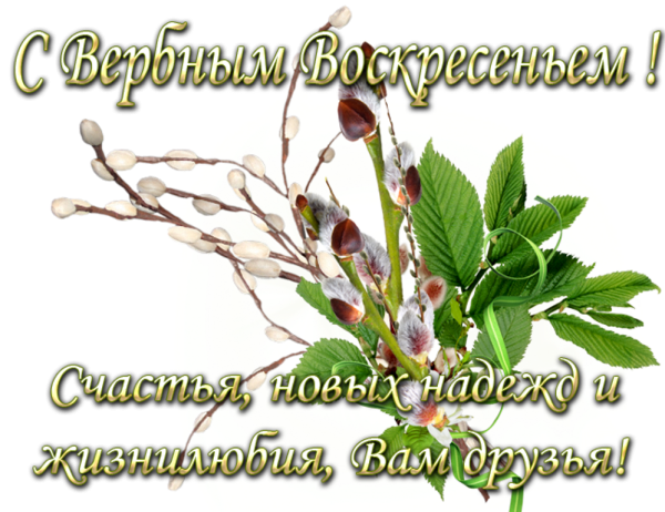 Доброе утро с Вербным воскресеньем