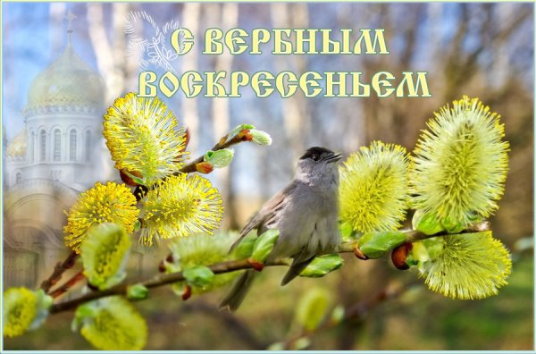 Символы Вербного воскресенья