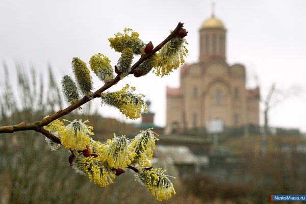 Верба Церковь Таллин